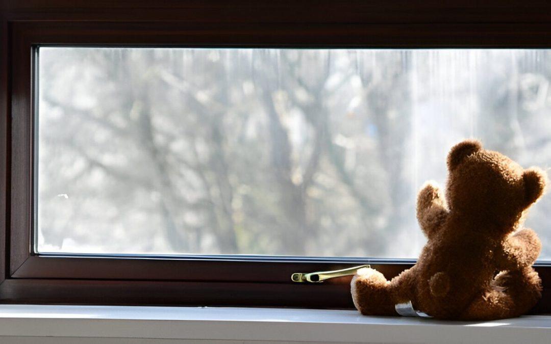 Finding Comfort After a Cat’s Passing: A Pathway of Love and Remembrance