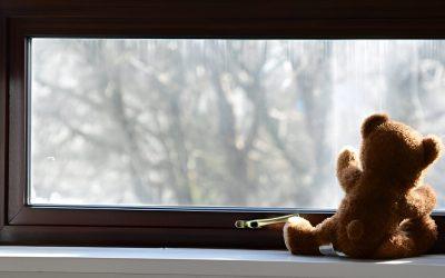 Finding Comfort After a Cat’s Passing: A Pathway of Love and Remembrance