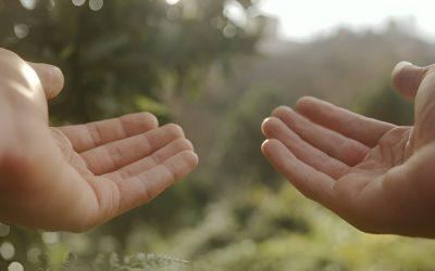 When the Bond Breaks: Rebuilding Trust After Betrayal