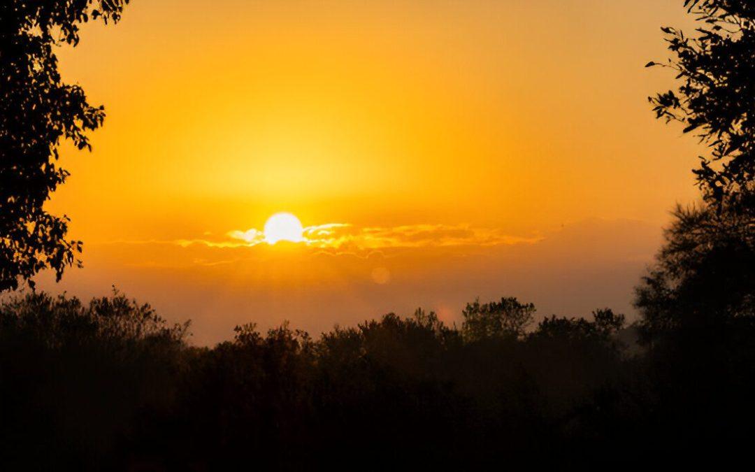 Finding Hope After Losing a Child