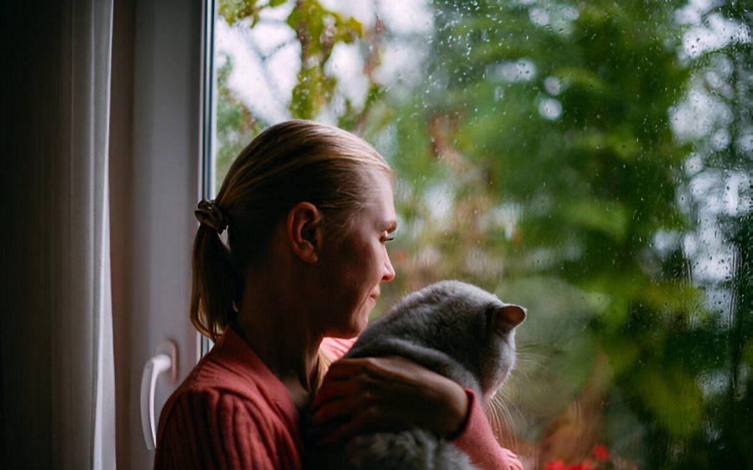 Honoring a Cat’s Memory: Gentle Ways to Keep Their Spirit Alive