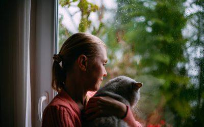 Honoring a Cat’s Memory: Gentle Ways to Keep Their Spirit Alive