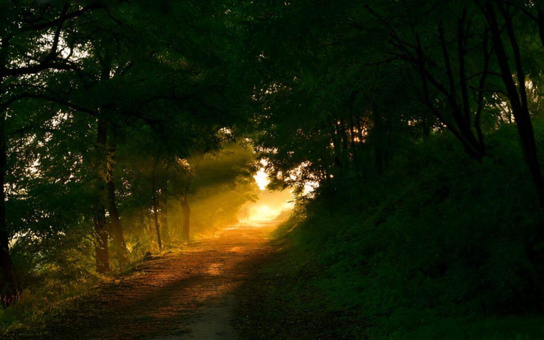 Finding Your Next Chapter: Rediscovering Yourself After a Life Change
